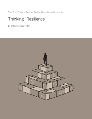 Thinking Resilience