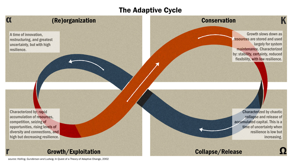 The Adaptive cycle graphic