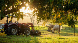 tractor and horses